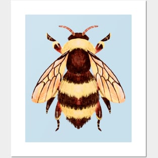 Cute and Fuzzy Honeybee Bug Posters and Art